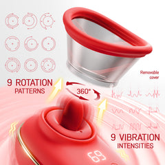 Vibrator
