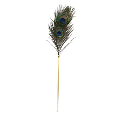 Peacock Feather Tickler