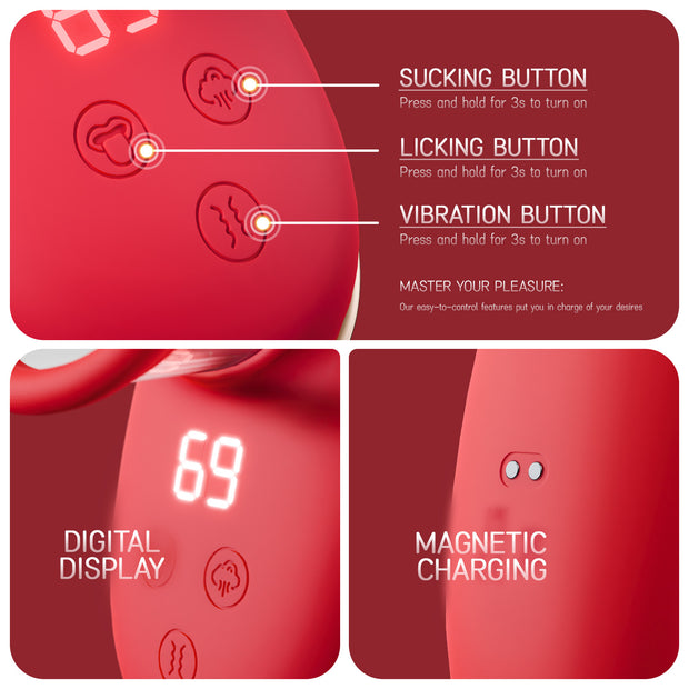 Vibrator
