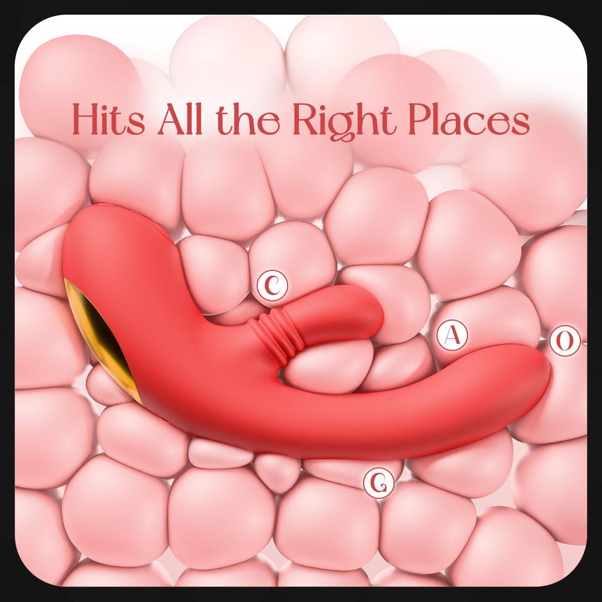 Nelivella curved fit illustration